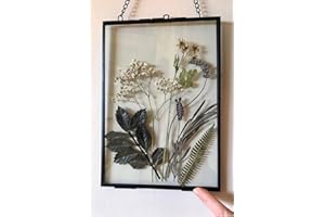 DÉCOCO 25 x 20 cm Black Hanging Floating Glass Photo Frame Wall Gold Geometric Ornament Plant Specimen Clip Modern Vertical Decor Card Artwork Certificate Picture Display Holder Glass Frame Only