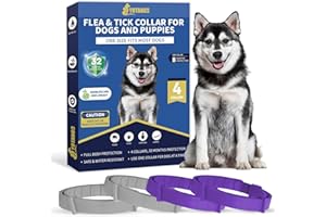 YOTANGO Collare Antiparassitario per Cani, 4 Pezzi Collare Antipulci Cane, Naturale Collare Cane Antiparassitario, Regolabile 32 Mesi di Protezione Antizecche per Tutti i Tipi di Cani(Grigio&Viola)