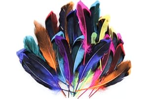 GoldRock Federn zum Basteln, 50 Stück Bunte Federn, Indianer Kopfschmuck Kinder, Feder Deko für DIY Ohrring, Hochzeit, Traumfänger, Kopfschmucksfedern, Federball, Schulhandwerk