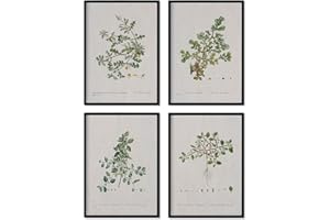 Nacnic PACK of sheets sheets. Posters with watercolor illustrations from French artist Pierre-Joseph Redouté. Interior decoration. A3 size.