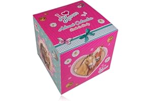 ‎ACCENTRA Accentra – Pflege Adventskalender 2025 für Mädchen im Pferde Design mit 24 Pflegeprodukten & Beauty Accessoires – mit Haarband, Badebomben, Duschgel, Shampoo, uvm. – Pony, Einhorn Weihnachtskalender