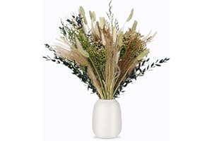 RosewineC 60 Stück Trockenblumen Deko Set Natürliche Pampasgras Getrocknet Blumen Dried Flowers Pflanzen Blumenstrauß Boho Pampas Deko für Wohnzimmer Home Hochzeit Vasen Tischdeko(Grün)