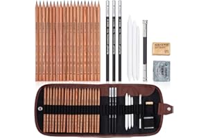 REAEONAT Sketching Pencils Set, 29 Pieces Professional Drawing Pencil with Graphite Pencils for Artists Beginners Students Adults Kids Uses, Art & School Supplies (Black)