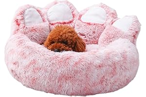 TUMOTSIT Cuscino Per Zampa Di Gatto, Divano Pigro A Forma Di Zampa Di Gatto Zampa D'orso, Divano Soffice A Forma Di Zampa Antiscivolo Con Imbottitura Interna Rimovibile, Letti Per Animali Domestici A Forma Di