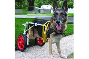 KHUY Wheelchair for Large Dogs Dog Wheelchair Rear Extremities Pet Wagon Dog Wheelchair Rear Legs Rehabilitation Walkin Wheels Help Harness (Size : X-Large)