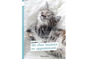 Un chat heureux en appartement