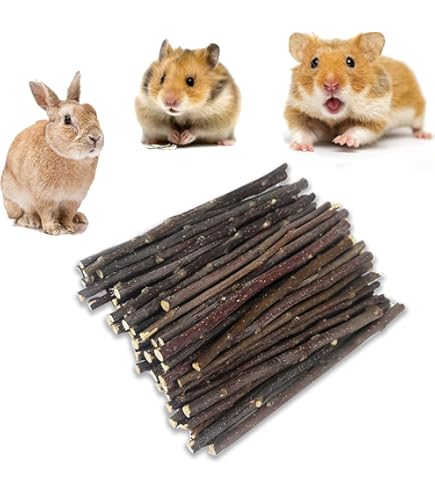 Mangiatoia Per Fieno Per Conigli E Cavie - Distributore Metallico E Plastica, Bianco, 14x9x19 Cm - Foto 12