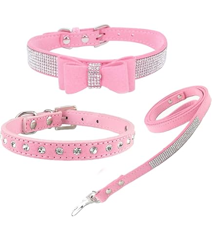 Newtensina Punk-Halsband Mit Leine Für Hunde – Stylisch Mit Nieten