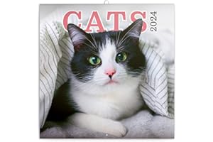 NOTIQUE Gatti - Calendario da parete 2024, con calendario mensile, con opuscolo, calendario animale, 30 x 30 cm (30 x 60 cm)