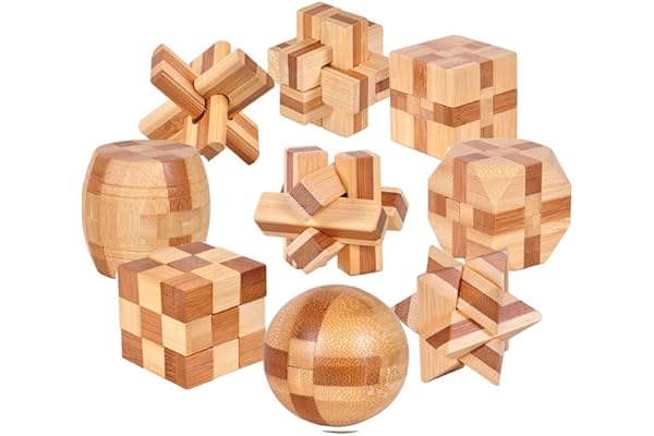 Gracelaza Casse Tête en Bois Set 9 Pièces - 3D Puzzle - Classique Brain Teaser - IQ Esprit Test - Jeu de Logique - Éducatif Jouet - Cadeau pour Adulte et Enfant