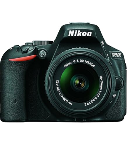 Nikon D5500 + AF-S DX NIKKOR 18-55mm f/3.5-5.6G VR II - digital