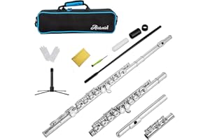 Aisiweier C Flutes Closed Hole C Flute Musical Instrument with Joint Grease,Cleaning Rod, Carrying Case, Stand, Gloves and Tuning Rod, 16 Key Student Flute Beginner Kids Flute, Nickel