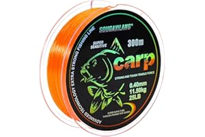 Yun Nong Fluoreszierende Karpfenschnur, schnell sinkend, Monofilament, 300 m/1000 m (0,28/0,30/0,33/0,35/0,40 mm) für Süßwasserangeln mit wenig Licht