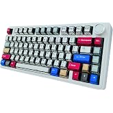 Aula F75 Mekanik RGB TKL Reaper Switch Kablosuz Makrolu Hot Swap Klavye Comic