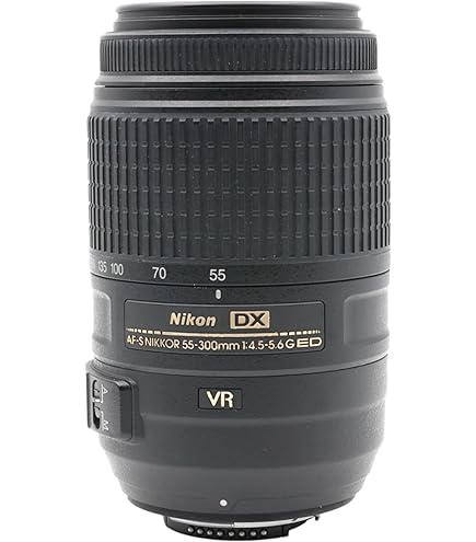 Tamron AF 70-300 mm F4-5.6 Di LD Macro 1:2 Nikon : Amazon.es