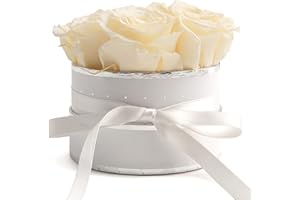 ‎ROSEMARIE SCHULZ HEIDELBERG Rosenbox weiß rund Infinity Rosen Beige - Blumenbox in Weiß 4 konservierte Rosen haltbar 3 Jahre - Geschenke für Frauen und Geschenke für Mama (Small, Weiß-Beige)