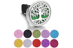 AEIOPRS 1 Pcs diffuseurs d'huiles essentielles pour voiture en acier inoxydable avec 10 tampons de rechange Aromathérapie irrégulière
