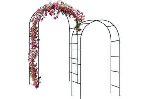 Forever Speed Łuk różany, kratka ogrodowa z malowanej proszkowo stali, dekoracja ogrodowa i ozdoba, odporna na warunki atmosferyczne, 240 x 140 x 38 cm, zielona (2 sztuki)
