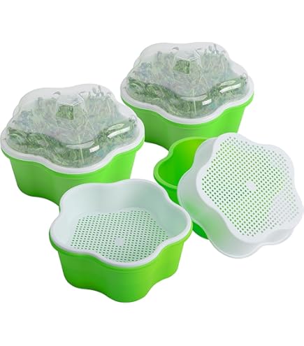 2 Set Keimschalen Mit Deckel - BPA Frei Für Microgreens & Weizengras