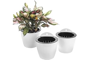 ORIMERC 3 Piezas De riego automático para Colgar en la Pared, macetas para Colgar en la Ventana, Cesta de Flores para Plantas de Interior para Cocina, Hierbas, balcón, barandilla, Estante, Valla, Enrejado