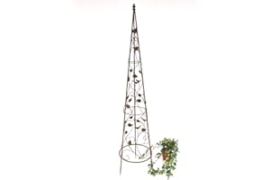 DanDiBo Support pour Plantes grimpantes Pyramide 082547 en métal 95cm bis164cm Support pour Plantes grimpantes Espalier Vrille (L - 142 cm)