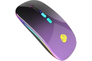 CC Store Kabellose Maus, Bluetooth-Maus mit Typ-C USB-Empfänger 2,4 GHz USB-Empfänger, 7 Farben, Schlanke Wireless-Maus 3 DPI 800/1200/1600 Kompatibel mit PC/Laptop/Windows