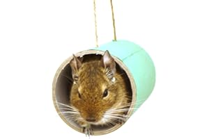 Chewchewbs Totally Degu 4 pack (Green)