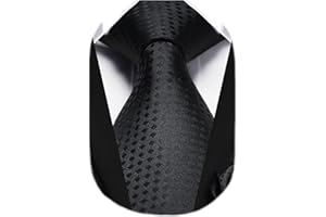 HISDERN Men's Tie and Pocket Square Set Solid Check Necktie with Handkerchief Formal Classic Elegant Ties for Men Wedding Business Ceremony Banquet