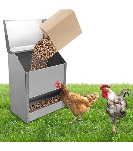 10x Acrylscheiben Rund 15cm Mit Loch - 2mm Dicke Für DIY Projekte