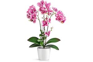PASCH® Sztuczne orchidee w doniczkach ceramicznych o wysokim połysku (46 cm) | sztuczne kwiaty w doniczce | sztuczne kwiaty jak prawdziwe | sztuczne storczyki w doniczce | sztuczne kwiaty w doniczce