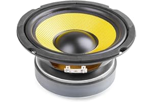 SKYTRONIC Fenton WK16 - Haut-Parleur Grave 6,5", Puissance 250 Watts, Bobine Ventilée Résistante à la Chaleur, Suspension Caoutchouc, Membrane en Fibre Synthétique Résistante