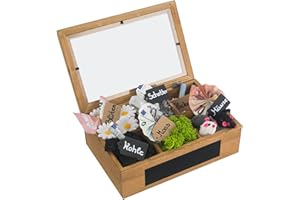 SURPRISA Schotter Schatulle 6er - kreative Verpackung für Geldgeschenke und persönliche Geschenkbox zum Geburtstag oder zur Hochzeit - Pinienholz