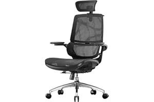 SIHOO Sedia da Ufficio Ergonomica M59AS, con braccioli ribaltabili 3D, doppio schienale e supporto lombare adattivo, sedia in rete ideale per l’ufficio a casa(Nero)