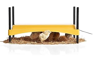 Brinsea EcoGlow Safety 1200 Chick Brooder - Chick Brooder Heat Plate for Chicks - Heat Lamp Replacement - Made in Great Britain - 3 Year Guarantee