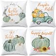Housse De Coussin Décorative Citrouille - Motif Automne/halloween, 45x45 Cm, En Peluche Douce