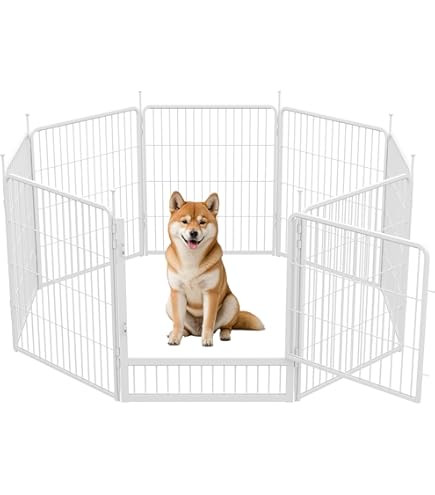 UISEBRT puppy uitloop flexibele opvouwbare uitloop 65 x 80 cm, 6 stuks UISEBRT puppy uitloop flexibele opvouwbare uitloop 65 x 80 cm, 6 stuks