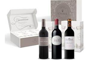 CASTEL CHATEAUX GRANDS CRUS Coffret Cadeau - Vin Rouge - Coffret de Seconds Vins - Saint Emilion Grand Cru Et Haut Medoc : Closerie de Camensac - Folie de Chauvin - Griffe de Barreyres - 3x75cl