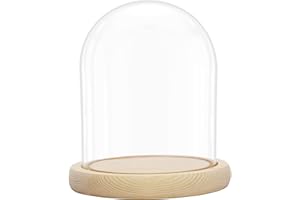 BELLE VOUS Campana in vetro con base in legno naturale, altezza 16,2 cm, mini campana in vetro trasparente per luci, piante, decorazione da tavolo