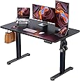 ErGear Height Adjustable Electric Standing Desk, 48 x 24 Inches Sit Stand up Desk, Memory Computer Home Office Desk (Black)