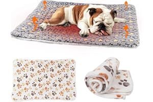 RHHGHY Cuscino Cane Interno, Materassino Cane Morbido e Caldo, 61 * 41 cm, Lettino per Cani, Tappetino Cane, Cuscino di Velluto, Viene Fornito con una Calda Coperta per Animali Domestici