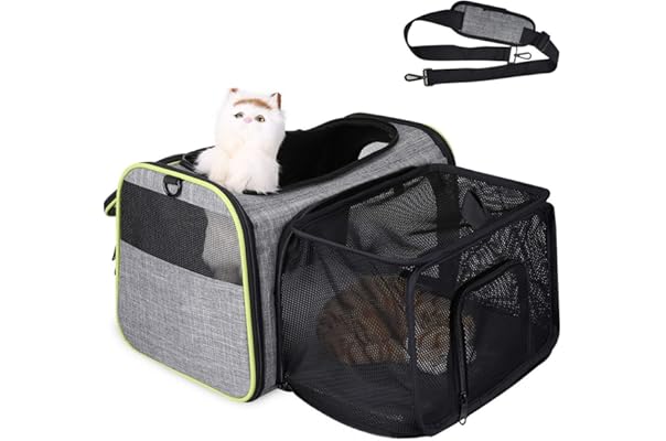 cat carry bag amazon