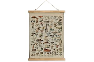 XIAOAIKA Affiche Vintage de Champignons avec Cadre en Bois, Peinture Artistique de Décoration Murale de Style Rétro, Motifs Imprimés sur Toile sans Décoloration, Prête à Être Accrochée (40x58cm)