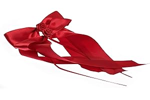 FlexiStore 10 nœuds ornés de Roses - décoration pour antenne/Voiture/Mariage - Rouge