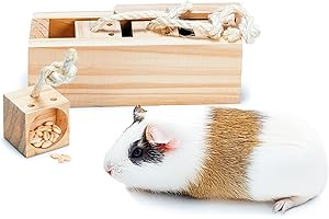 Karlie Rody Cube Train cérébral 4 Blocs Longueur 21,5 cm Largeur 8,5 cm Hauteur 7,5 cm Naturel