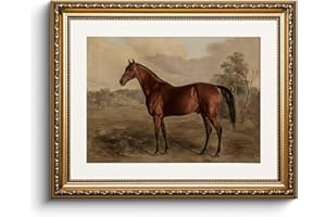 HUARCEY Leinwand Bilder mit Gold Rahmen, Vintage Wandbilder, Klassisch Wand Deko Wohnzimmer Schlafzimmer Badezimmer Küche, Bauernhaus Zimmer Deko Aesthetic, Pferd Tier Painting, 33x40cm, klein