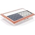 MANN-FILTER C 25 004 Air Filter – For Passenger Cars