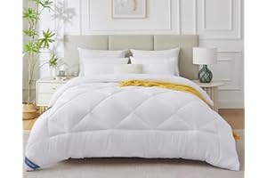 CozyLux Piumino Matrimoniale Invernale 220x240 cm Piumone Matrimoniale Invernale 450 gr/mq Piumone Caldo Trapunta 240x220 in Microfibra Sintetica Bianco