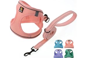 BELLA & PAL Zestaw uprzęży i smyczy, uprząż Step-in dla szczeniaka, oddychająca siatka z paskami odblaskowymi, kamizelka bez ciągnięcia, dla szczeniaków, bardzo małych psów, różowa, S