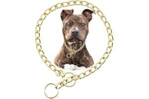 HOTLION Gold Dog Chain Collar, Heavy Duty Dog Necklace, for Training, Chew Proof Martingale Puppy Dog Chains for XXS XS Small Medium Large Big Dogs