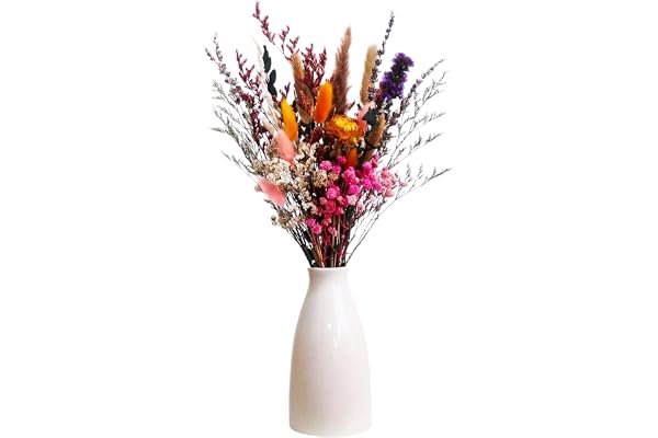 GmwyCzV 35 stycken torkade blommor, naturliga torkade blommor, DIY blandade torkade blomsterbukett, torkade blommor för hantverk, torkade halmblommor, för vardagsrum, hushåll, bröllop och